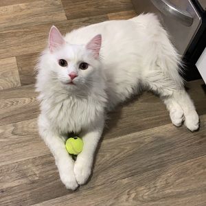 30% 4 or more items!